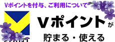 sumidashi_Vpoint_2405-230x85